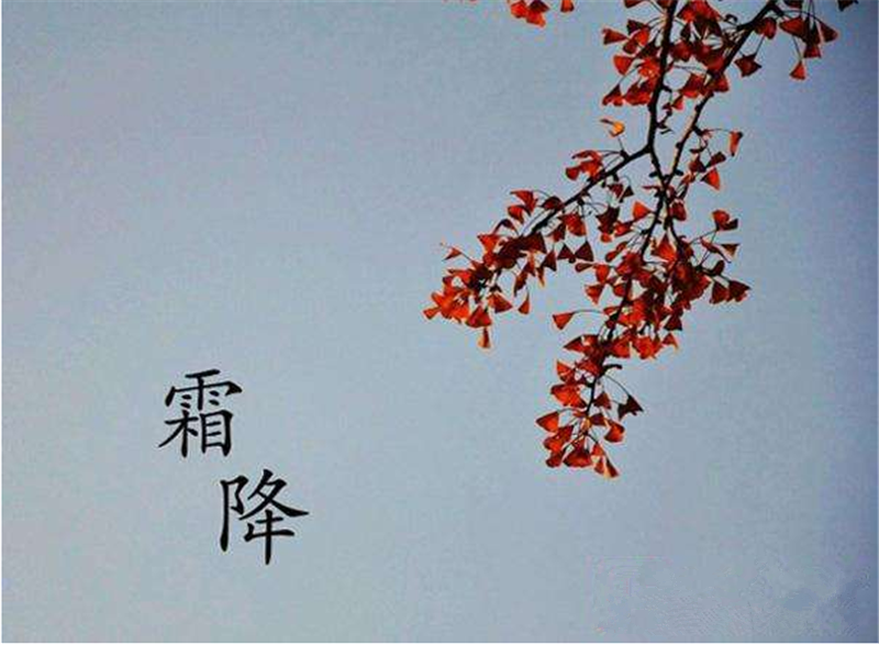 霜降——轉(zhuǎn)載網(wǎng)絡(luò)圖片