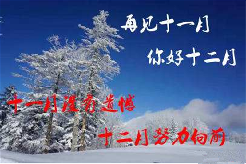 11月再見 ，12月你好——貝朗全自動鋼絲機